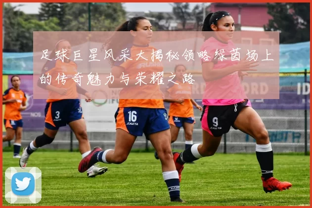 足球巨星风采大揭秘领略绿茵场上的传奇魅力与荣耀之路