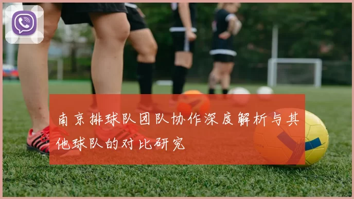 南京排球队团队协作深度解析与其他球队的对比研究