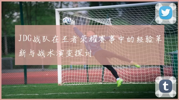 JDG战队在王者荣耀赛事中的经验革新与战术演变探讨