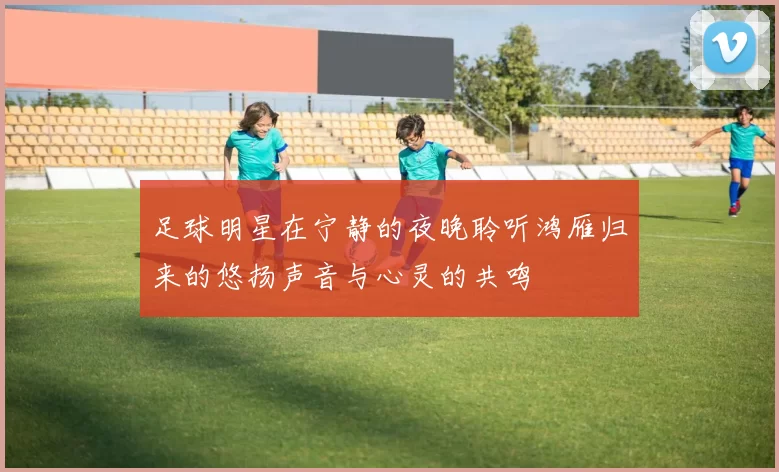 足球明星在宁静的夜晚聆听鸿雁归来的悠扬声音与心灵的共鸣