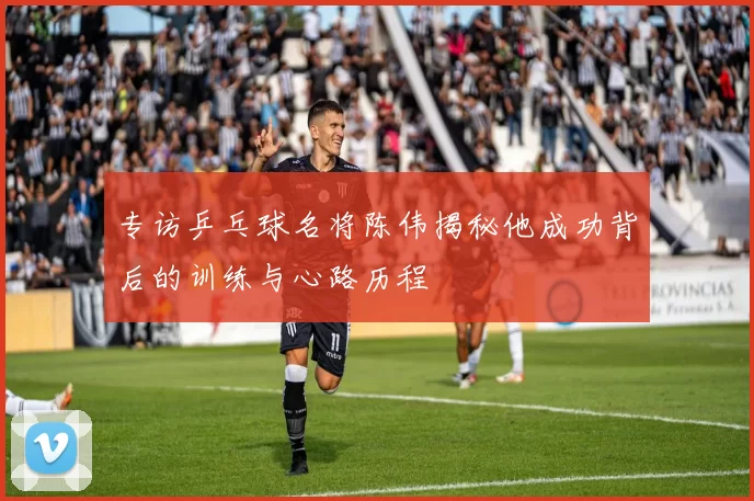 专访乒乓球名将陈伟揭秘他成功背后的训练与心路历程