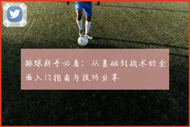 排球新手必看：从基础到战术的全面入门指南与技巧分享