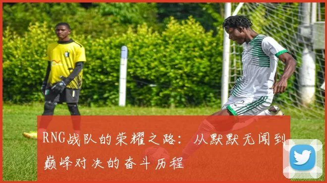 RNG战队的荣耀之路：从默默无闻到巅峰对决的奋斗历程