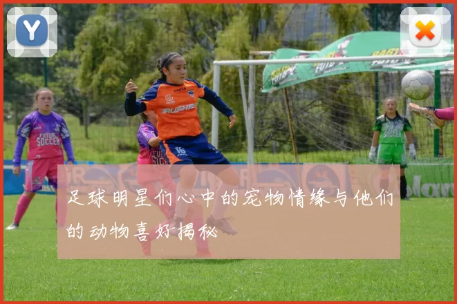 足球明星们心中的宠物情缘与他们的动物喜好揭秘
