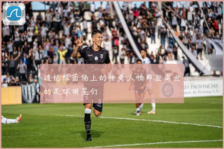 追忆绿茵场上的传奇人物那些离世的足球明星们