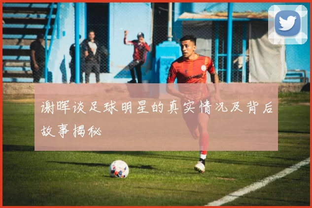 谢晖谈足球明星的真实情况及背后故事揭秘