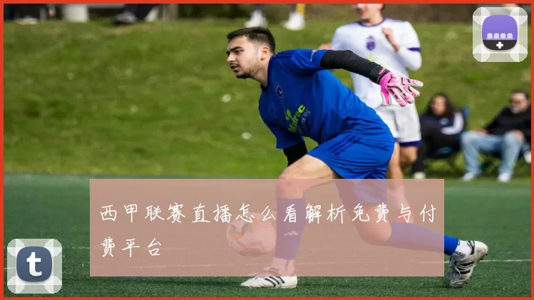 西甲联赛直播怎么看解析免费与付费平台