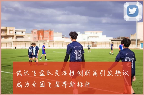 武汉飞盘队灵活性创新高引发热议成为全国飞盘界新标杆