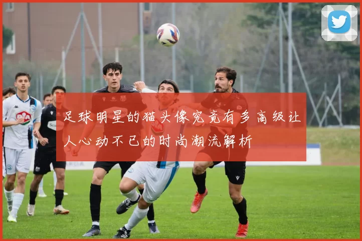 足球明星的猫头像究竟有多高级让人心动不已的时尚潮流解析