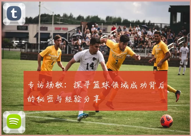 专访杨敏：探寻篮球领域成功背后的秘密与经验分享