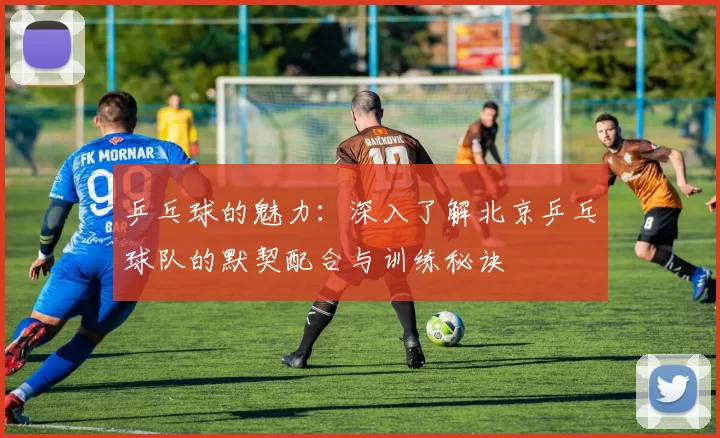 乒乓球的魅力：深入了解北京乒乓球队的默契配合与训练秘诀