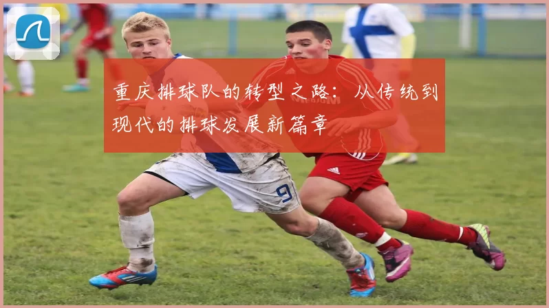 重庆排球队的转型之路：从传统到现代的排球发展新篇章