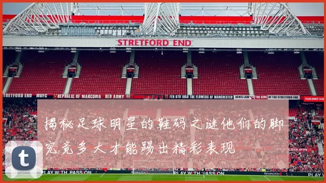 揭秘足球明星的鞋码之谜他们的脚究竟多大才能踢出精彩表现
