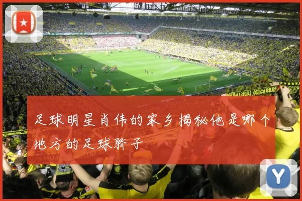 足球明星肖伟的家乡揭秘他是哪个地方的足球骄子