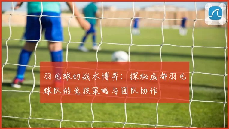 羽毛球的战术博弈：探秘成都羽毛球队的竞技策略与团队协作