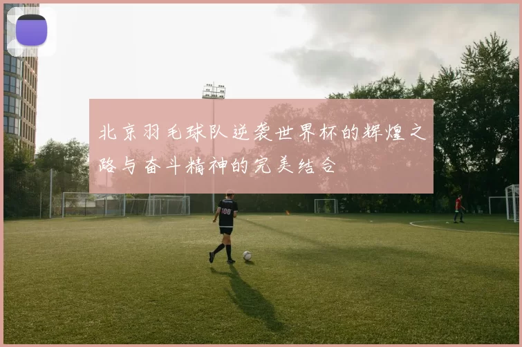 北京羽毛球队逆袭世界杯的辉煌之路与奋斗精神的完美结合